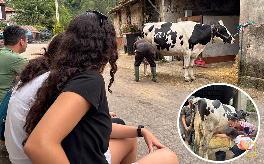 Ordeño tradicional en familia en la ganadería Maella