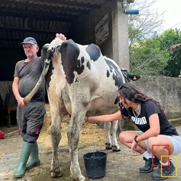 Granja para niños en Asturias: experiencia educativa en la Ganadería Interactiva Maella