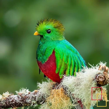 Guía para viajar a Costa Rica: qué ver, parques nacionales, playas y rutas de 10 y 15 días