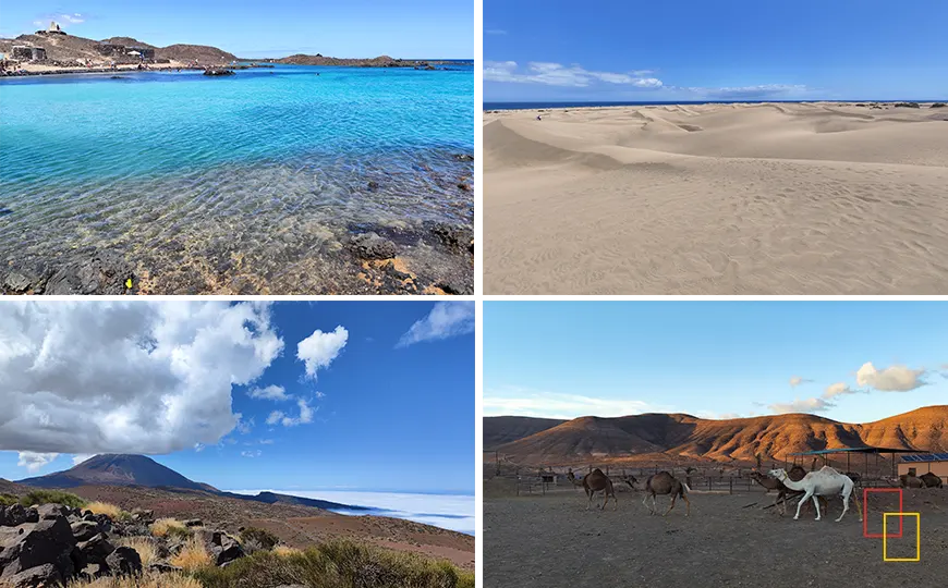 Paisaje volcánico y playa en las Islas Canarias