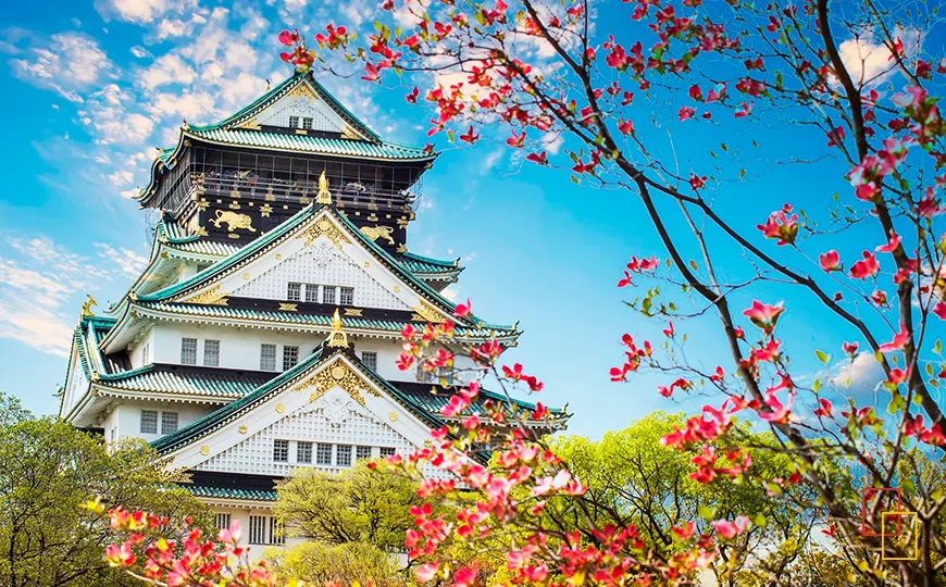 Castillo de Osaka rodeado de cerezos en flor durante la sakura