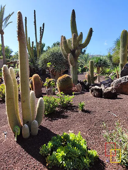 jardín botánico