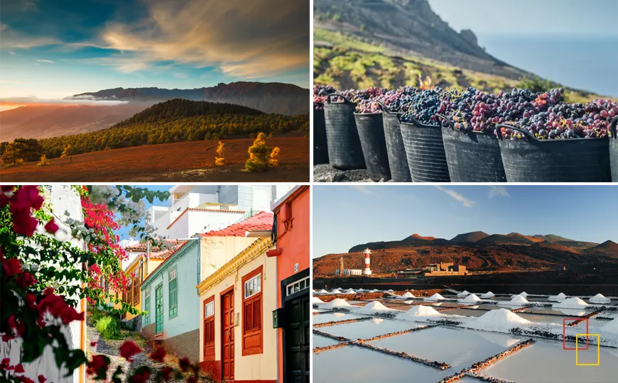 Paisajes, vinos, arquitectura y costa de La Palma, destino de las III Jornadas Slow Taste 2025