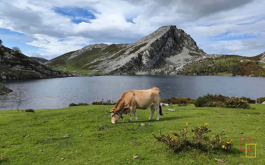 Lagos de Covadonga en Picos de Europa
