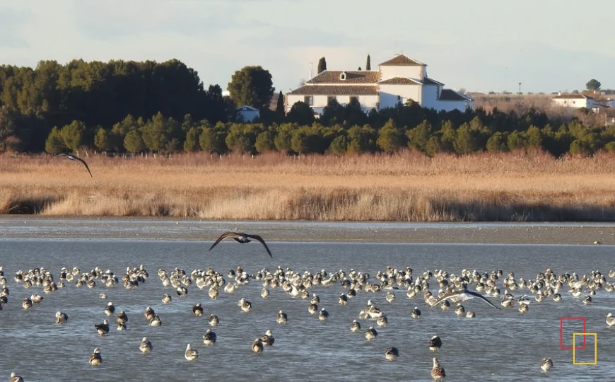 Panorámica de la laguna de Manjavacas