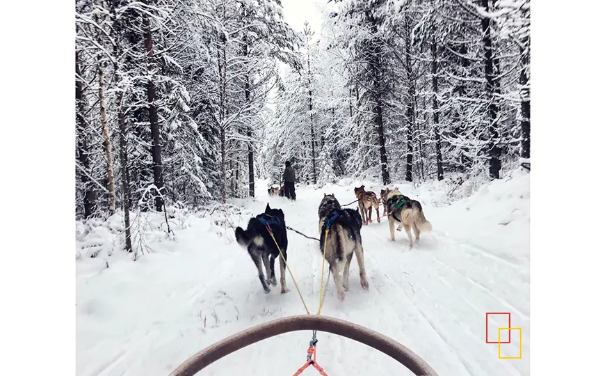 Paseo en trineo de huskies en Laponia