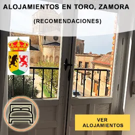 los mejores hoteles en Toro