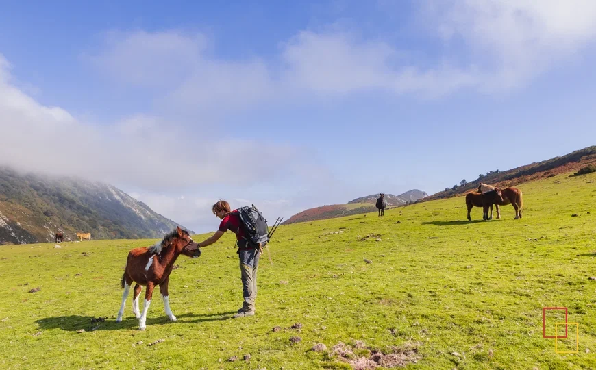 Majada de Bustacu, en la Sierra del Sueve