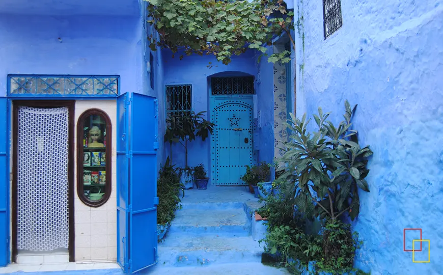 Calle azul con puertas y plantas en Chefchaouen