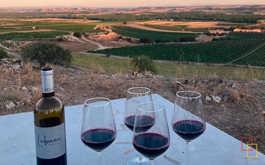 Botella y copas de vino tinto en el mirador de Dominio Lubiano con vistas a los viñedos de la milla de oro