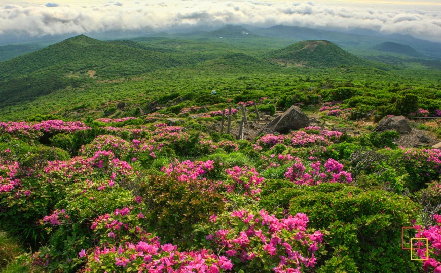 Monte Hallasan en la isla de Jeju, paisaje natural en Corea del Sur
