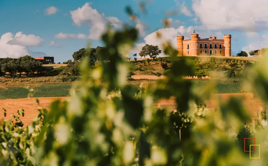 Viñedo propio con el castillo de Monte la Reina al fondo