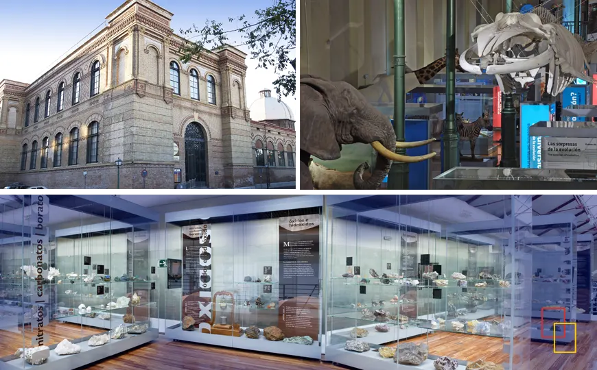 Museo Nacional de Ciencias Naturales de Madrid