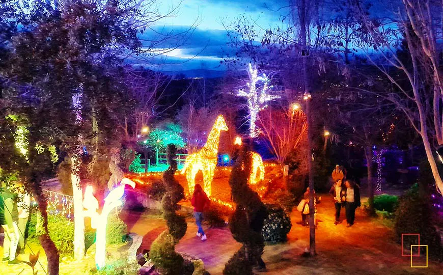 Noches mágicas en El Bosque Encantado