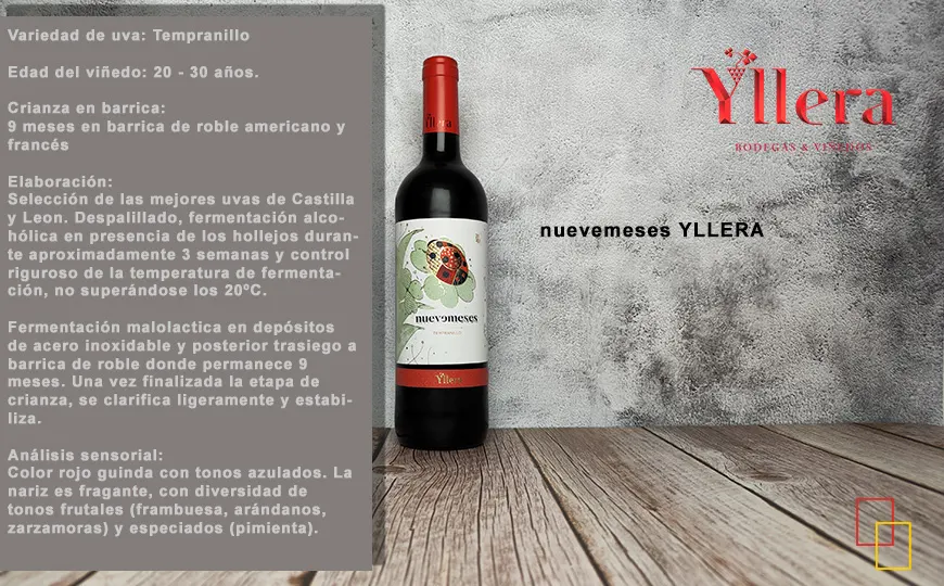 Nuevemeses Yllera