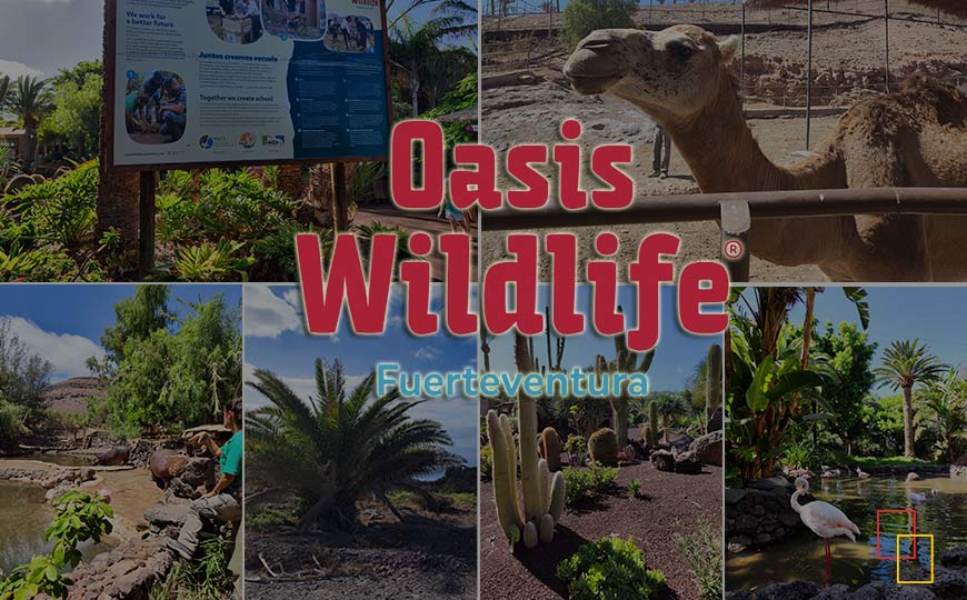 Centro de conservación de la naturaleza - parque Oasis Wildlife