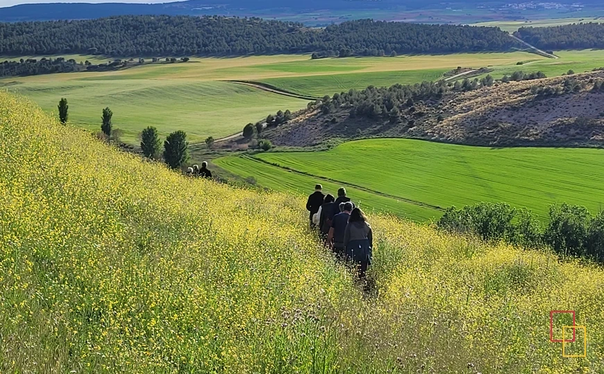 Campos de cultivo en La Mancha conquense