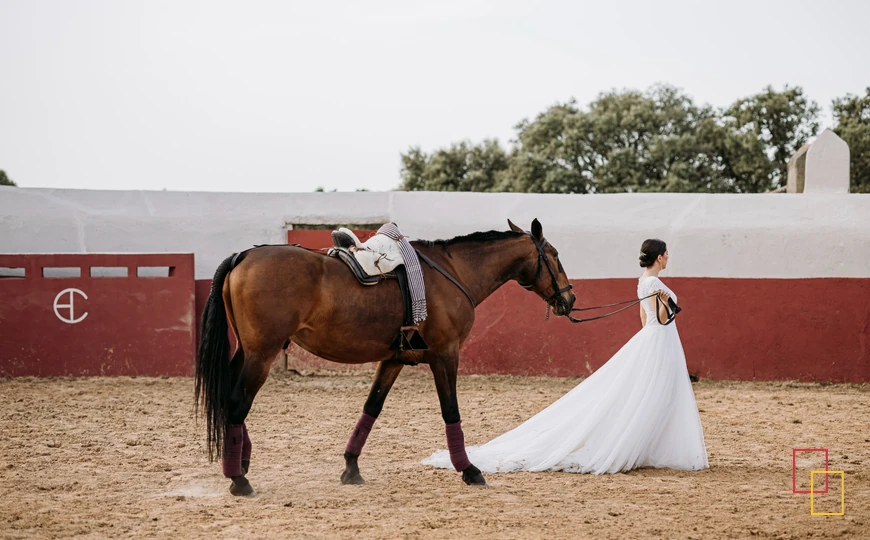Novia con caballo en la plaza de toros de Palacio Carrascalino