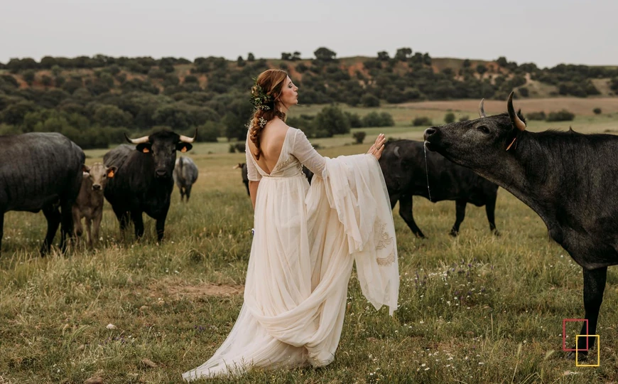 Novia en la dehesa de Palacio Carrascalino