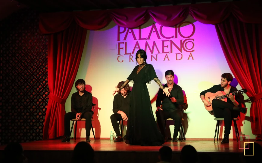 Bailaora vestida de negro en el escenario del Palacio Flamenco Granada