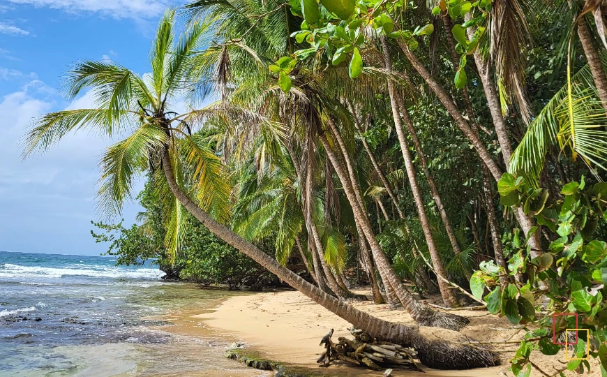 Fotografía de naturaleza y experiencias de Costa Rica