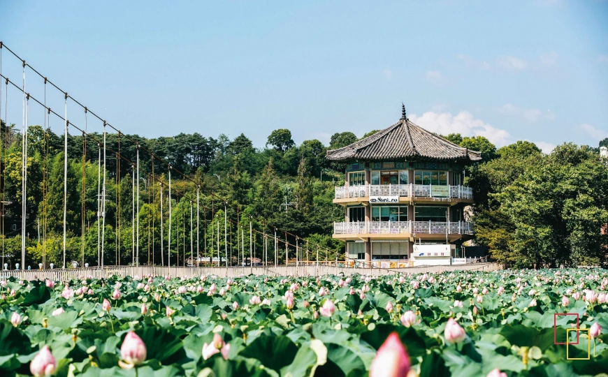 Parque Deokjin en Jeonju, lago y naturaleza en Corea del Sur