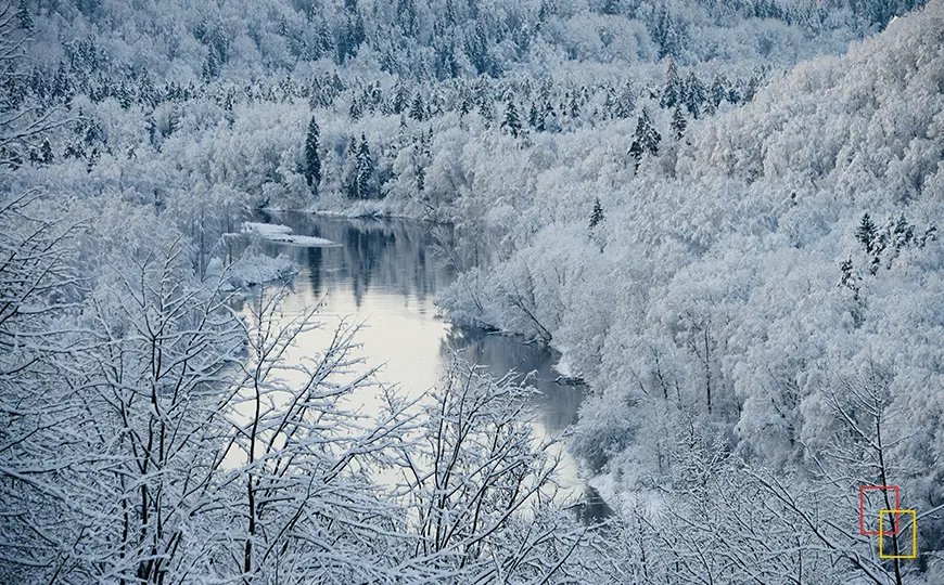Valle del río Gauja cubierto de nieve en invierno