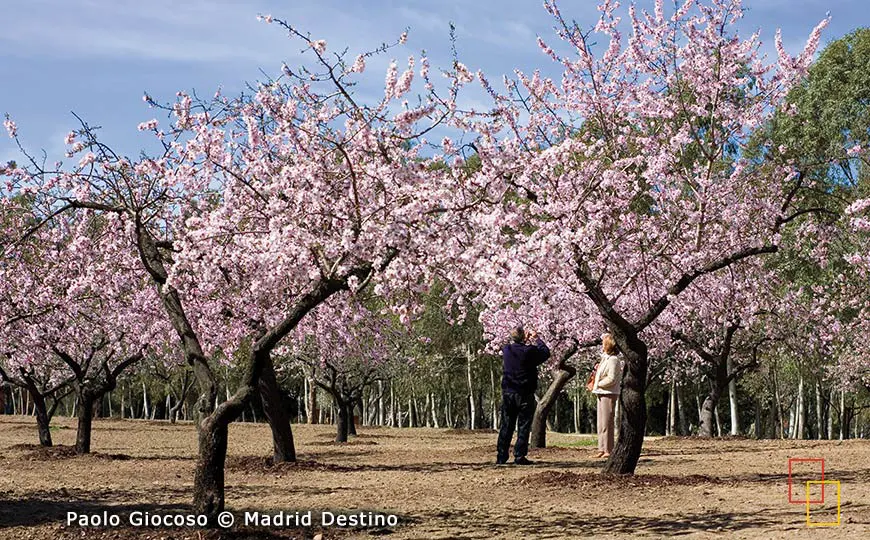 parque quinta de los molinos