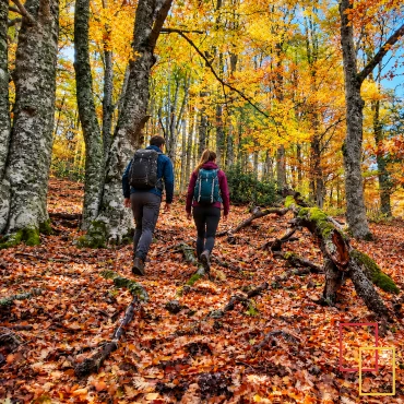 10 planes de otoño en Madrid que no te puedes perder
