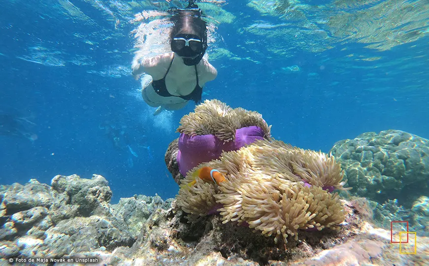 Snorkel en arrecife de Bora Bora