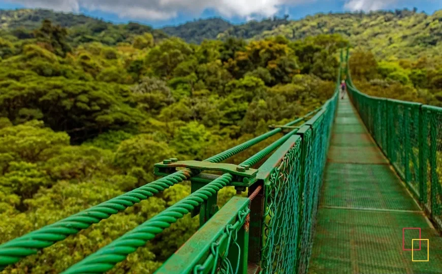 Puentes colgantes sobre la vegetación de Costa Rica