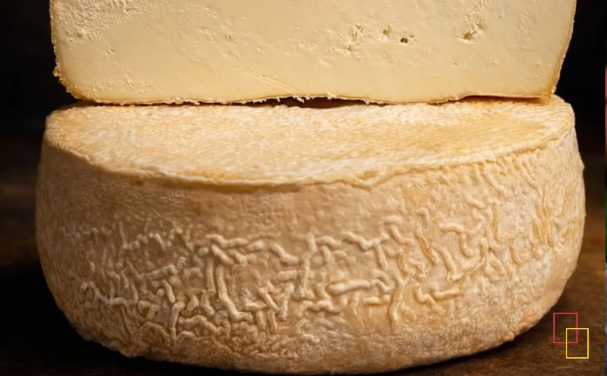 Queso Rey Silo en la Feria del Quesu y el Vinu de Avilés
