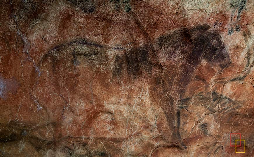 Sala de reproducciones - Representaciones rupestres Cueva de Tito Bustillo