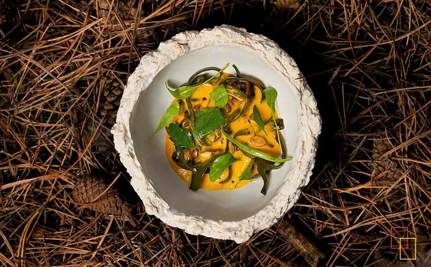 Níscalo, algas y mantequilla de calabaza