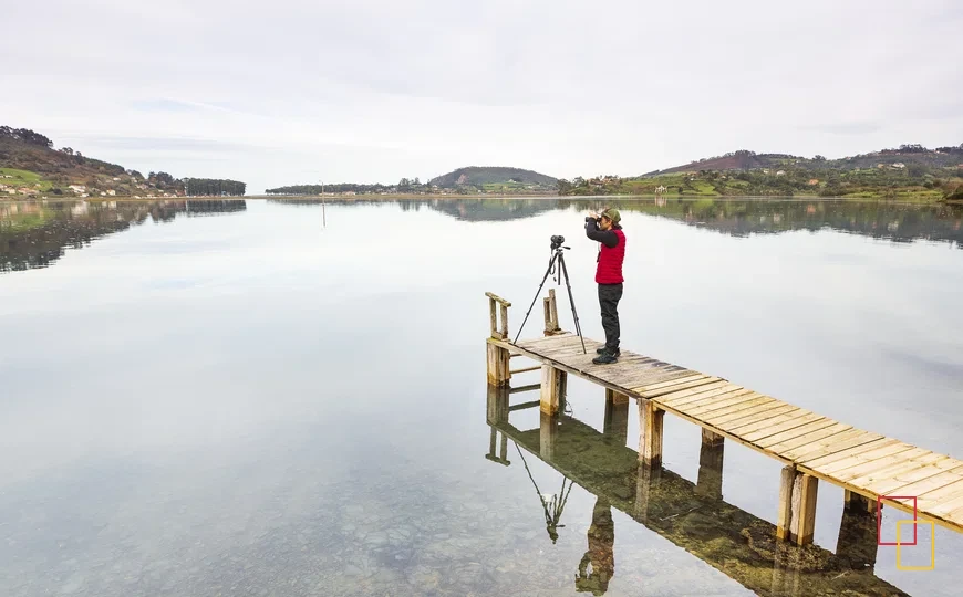 Observación de aves en la ría de Villaviciosa