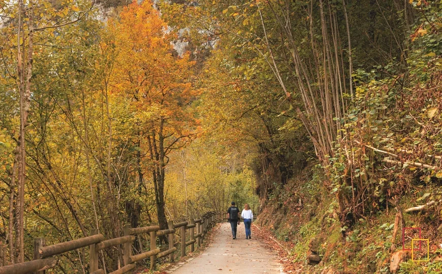 Ruta del Alba, uno de los paseos más populares del Parque Natural de Redes