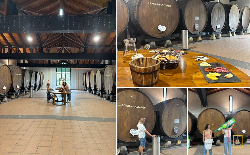 Sala de barricas donde se realiza el aperitivo de la visita V2