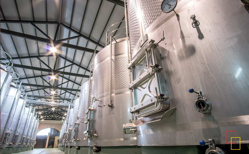 Sala de vinificación - Compañía Vinícola Solterra