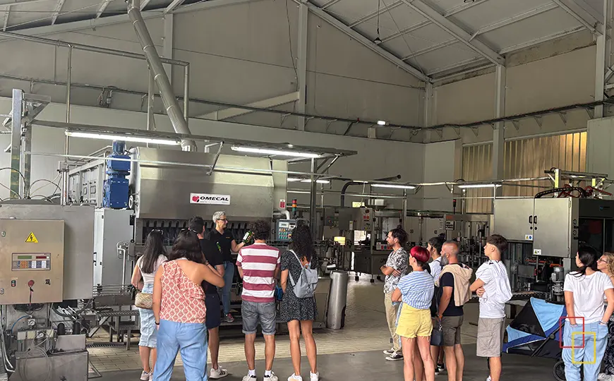 Zona de limpieza, llenado y etiquetado de botellas de sidra