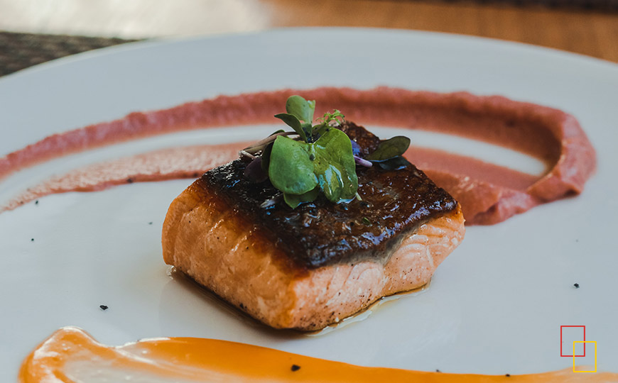 Salmón sobre cremoso de remolacha, coliflor al toque de vainilla y puré de pomelo