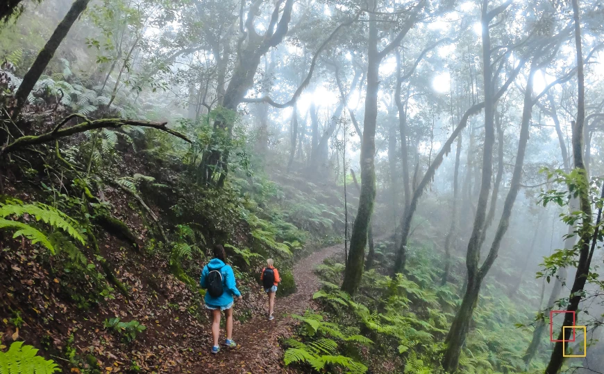 Ruta de senderismo por El Cedro en La Gomera