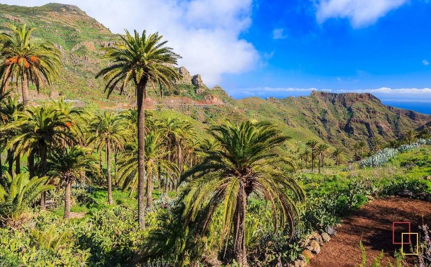 Senderismo en La Gomera entre montañas y palmerales