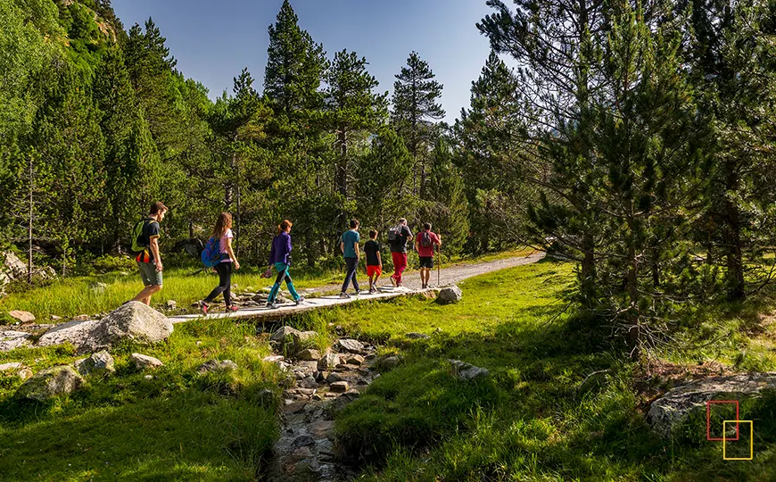Grupo haciendo senderismo por pradera y bosque en Aigüestortes