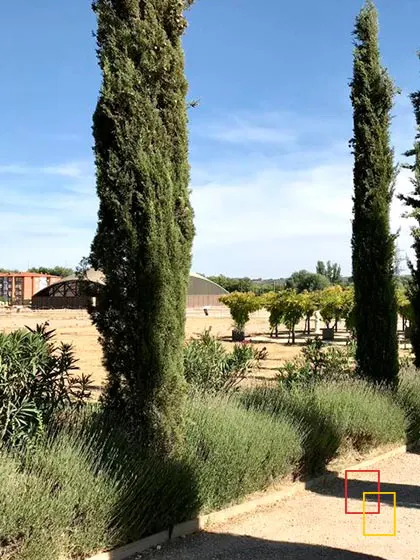 Tour privado Ciudad Romana de Complutum