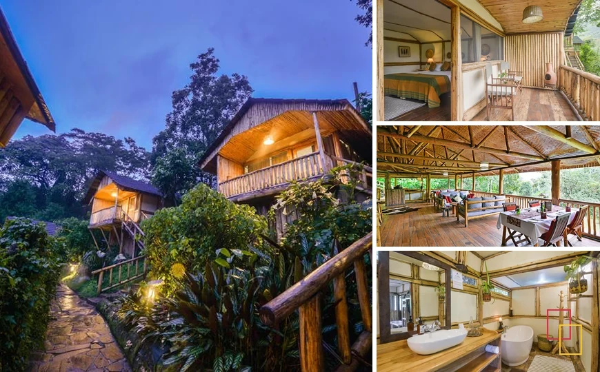 Collage de cuatro fotografías de Buhoma Lodge en Uganda: alojamiento y entorno
