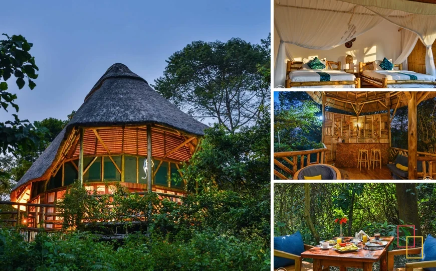 Collage de cuatro fotografías de Kibale Tourist Safari Lodge en Uganda: alojamiento y entorno