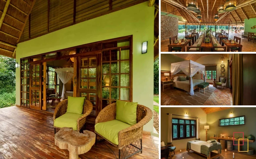Collage de cuatro fotografías de Primate Lodge Kibale en Uganda: alojamiento y entorno