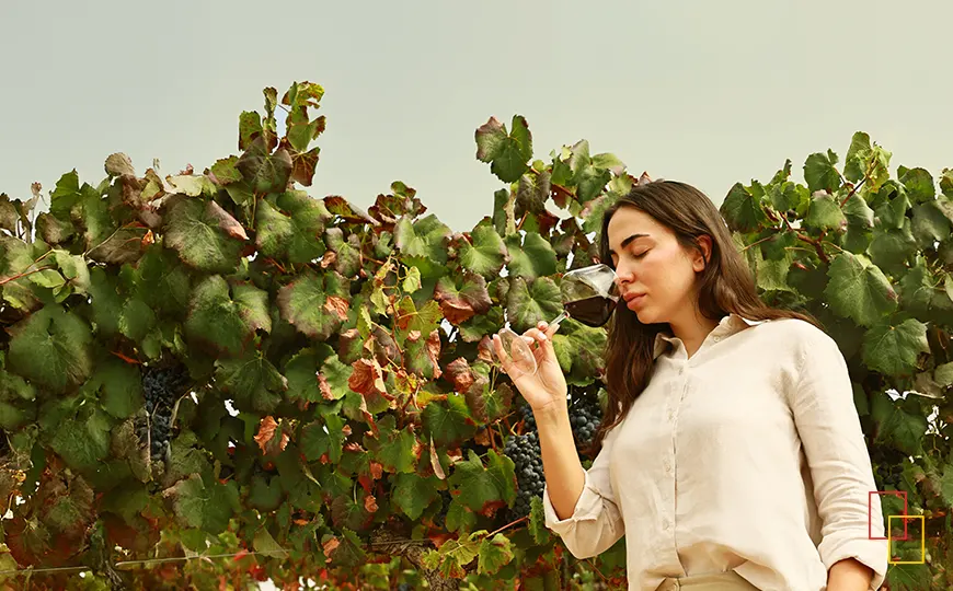 Camino entre viñedos de Vegamar preparado para las visitas enoturísticas