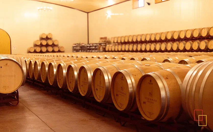 Grupo visitando la nave de barricas en Vegamar Bodegas