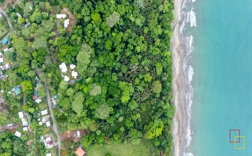 Fotografía de naturaleza y experiencias de Costa Rica